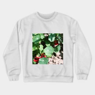 Nasturtium Empress of India Crewneck Sweatshirt